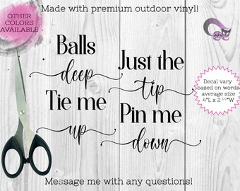 Just The Tip, Balls Deep, Tie Me Up, Pin Me Down - Adult Humor Funny Bathroom Labels, Bathroom Vinyl Decals