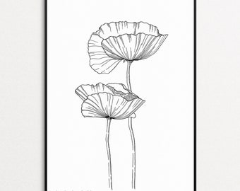 Poppies art print Two Poppy flowers ink drawing printable Minimalist Floral line art Home wall decor Black white botanical artwork Download