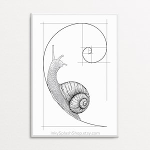 Ślimak na spirali Fibonacciego, wydruk na ścianę, grafika ze złotym podziałem, wydruk matematyczny, plakat koncepcyjny z nauką i naturą, dekoracja akademika, prezent dla nauczyciela