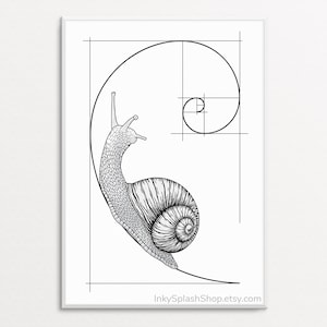 Snail on Fibonacci spiral wall art printable Golden ratio artwork Mathematics print Science & Nature concept poster Dorm decor, Teacher gift image 1