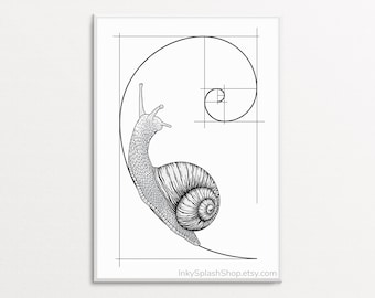 Snail on Fibonacci spiral wall art printable Golden ratio artwork Mathematics print Science & Nature concept poster Dorm decor, Teacher gift