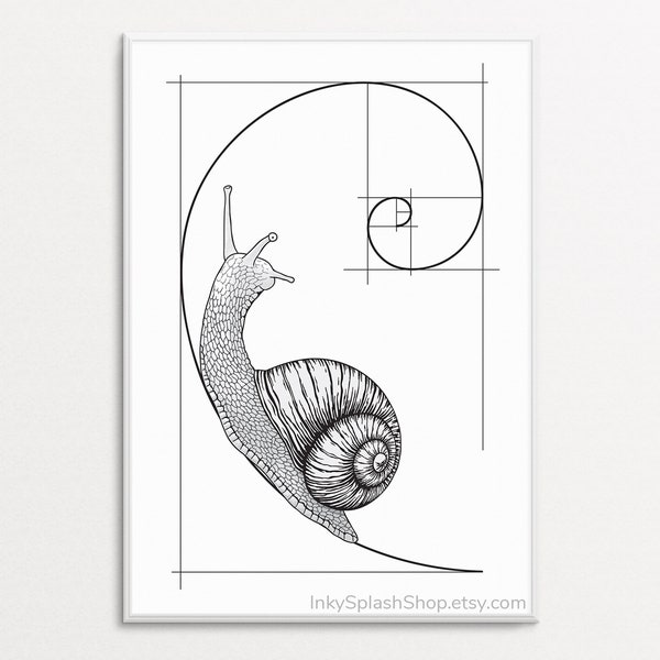 Snail on Fibonacci spiral wall art printable Golden ratio artwork Mathematics print Science & Nature concept poster Dorm decor, Teacher gift