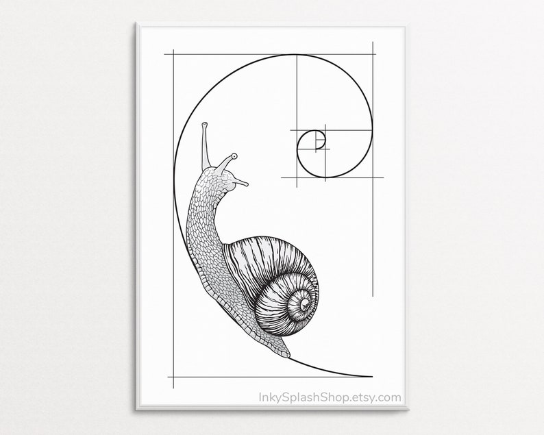 Snail on Fibonacci spiral wall art printable Golden ratio artwork Mathematics print Science & Nature concept poster Dorm decor, Teacher gift image 1