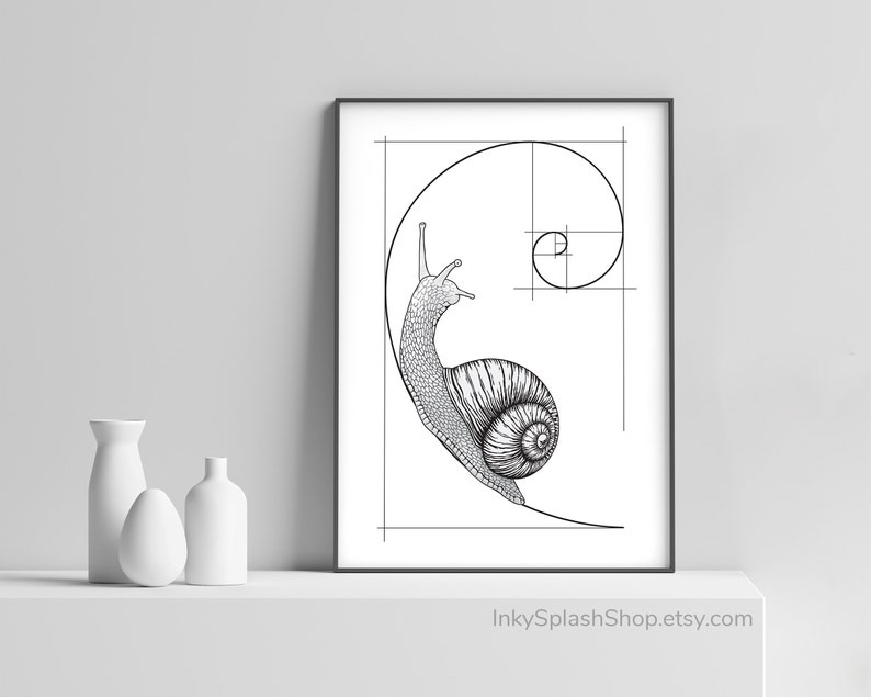 Snail on Fibonacci spiral wall art printable Golden ratio artwork Mathematics print Science & Nature concept poster Dorm decor, Teacher gift image 3