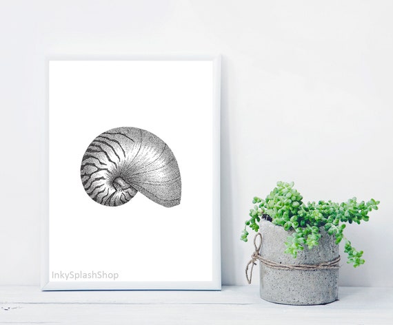 Seashell Print Nautilus Shell Ink Drawing Coastal Wall Art Etsy