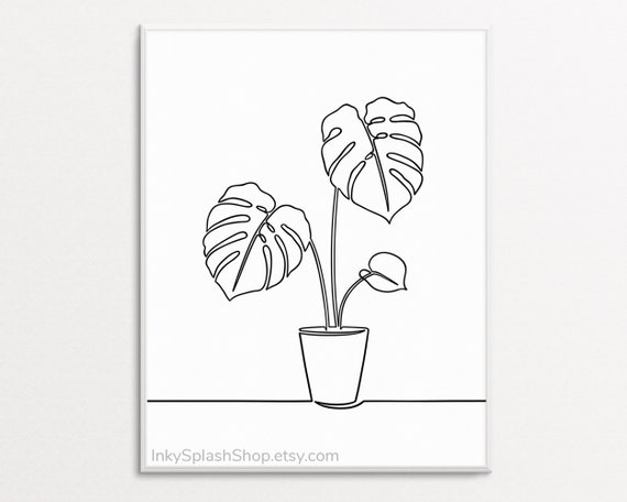 philodendron rojo congo Philodendron 'Rojo Congo' | Plants main image 1