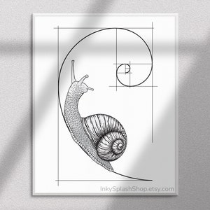 Snail on Fibonacci spiral wall art printable Golden ratio artwork Mathematics print Science & Nature concept poster Dorm decor, Teacher gift image 4