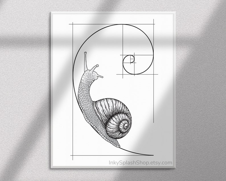 Snail on Fibonacci spiral wall art printable Golden ratio artwork Mathematics print Science & Nature concept poster Dorm decor, Teacher gift image 4