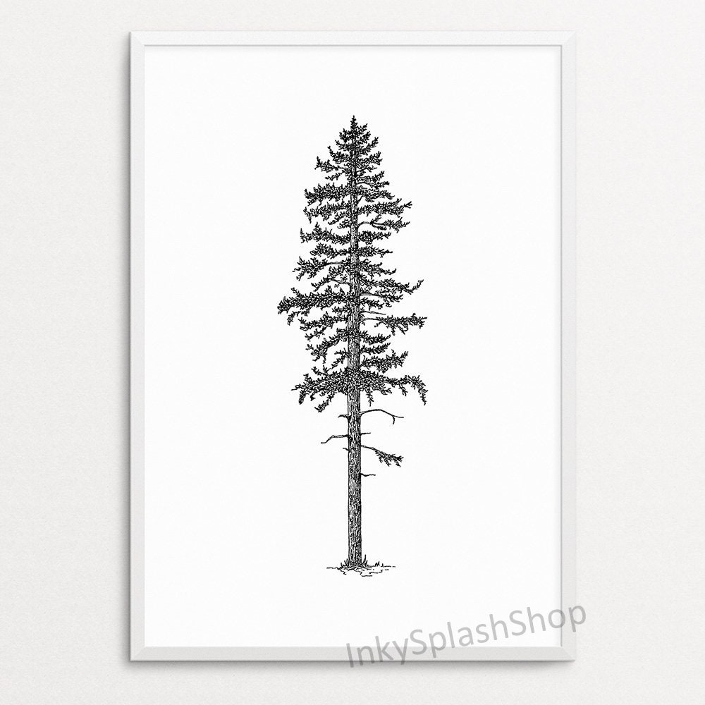 Christmas Tree Drawing png download - 878*996 - Free Transparent Spruce png  Download. - CleanPNG / KissPNG