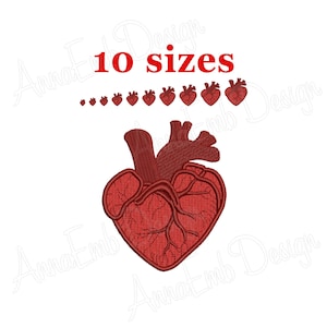 Anatomical Heart Embroidery design. Mini heart Embroidery. Heart shapes. Valentines day. Machine Embroidery Design. Medical Embroidery