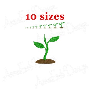 Puede incluir: Una plántula verde con dos hojas que crece en tierra marrón. El texto "10 tamaños" está escrito en rojo sobre la planta.