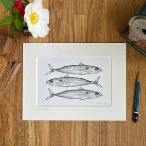 Mackerel pencil drawing monochrome fine art print available in 3 sizes with free delivery