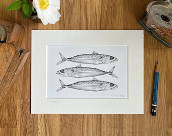 Mackerel pencil drawing monochrome fine art print available in 3 sizes with free delivery