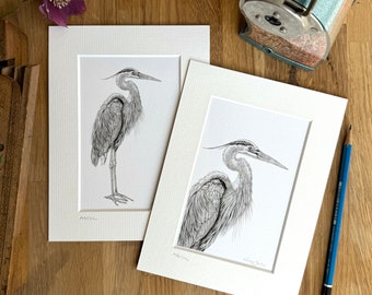 Heron pencil drawing fine art monochrome print - 2 designs in 2 sizes with free delivery