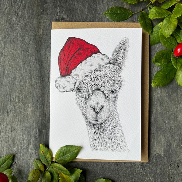 Festive Alpaca Christmas card, from original pencil drawing - animal art