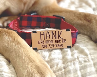 Black dog collar Leather dog collar Red dog collar dog collar SSC Personalized dog tag Blue dog Collar LL2 Silver dog collar