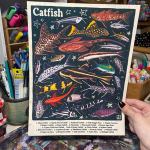¡BAGRE! / Póster de pared con identificación de peces, 8,5 x 11 pulgadas