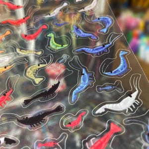 May include: A clear sticker sheet featuring numerous small, individual shrimp illustrations in various colors including red, blue, black, white, yellow, and green. Each shrimp has a distinct outline and a simple black dot for an eye.
