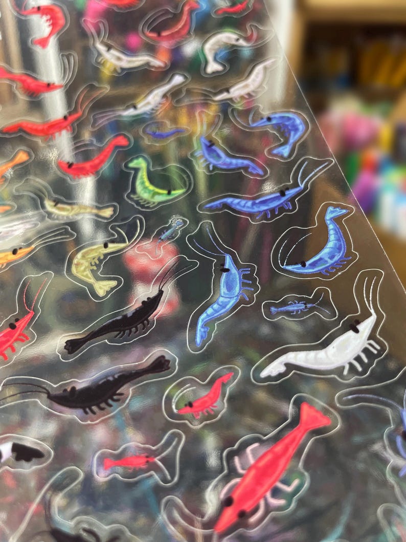 May include: A clear sticker sheet featuring numerous small, individual shrimp illustrations in various colors including red, blue, black, white, yellow, and green. Each shrimp has a distinct outline and a simple black dot for an eye.