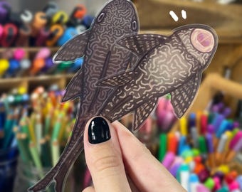 2 Durchsichtige Pleco Aufkleber | Transparente wasserdichte Suckermouth Wels Aufkleber | Plecostomus Fisch Aufkleber