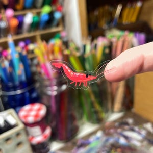May include: A small, clear sticker featuring a hand-drawn illustration of a bright red shrimp with a curved tail, two long antennae, and a simple black dot for an eye. The sticker has a thin, transparent border following the shape of the shrimp.