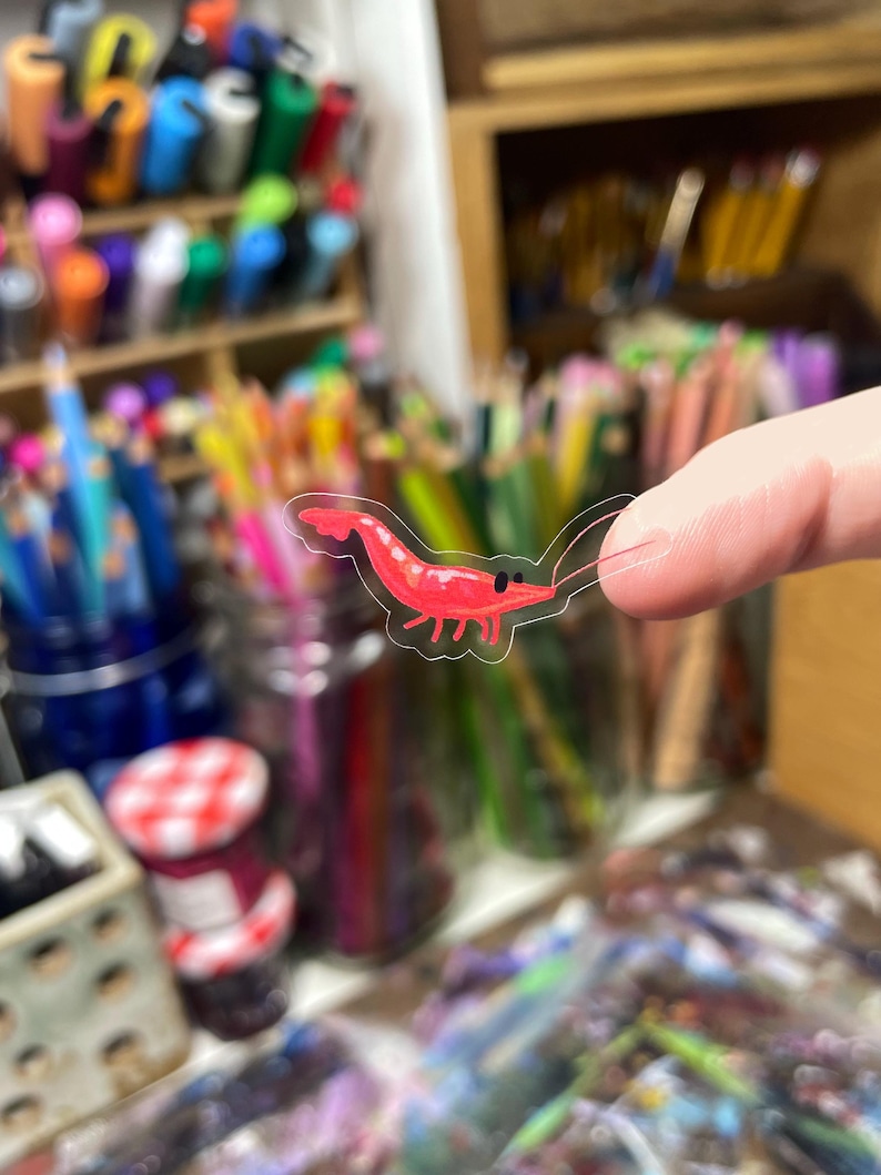 May include: A small, clear sticker featuring a hand-drawn illustration of a bright red shrimp with a curved tail, two long antennae, and a simple black dot for an eye. The sticker has a thin, transparent border following the shape of the shrimp.