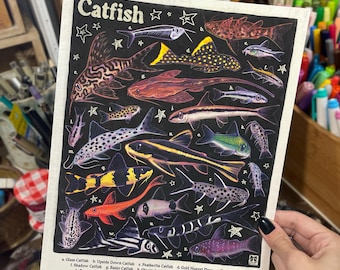 May include: A rectangular art print on a white background featuring a black central panel with twenty-four detailed illustrations of various catfish species labelled a through x, with the title Catfish at the top and a legend at the bottom.