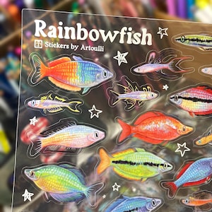 Rainbowfish Sticker Sheet | Clear Transparent Aquarium Fish Stickers
