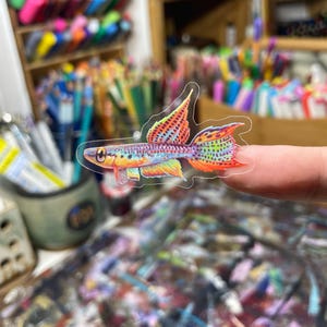 May include: A colorful, iridescent fish sticker with a clear background. The fish has orange, red, yellow, blue, and green scales. The sticker is perfect for adding a touch of whimsy to any project.