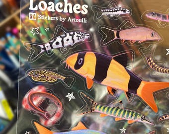 Hoja de pegatinas de lochas / Pegatinas transparentes para peces de acuario