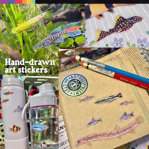Terrarium Aquarium Sticker Sheet VIVARIUMS | Clear Transparent Stickers image 11