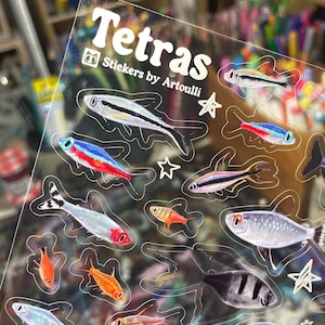 Tetra Sticker Sheet | Clear Transparent Aquarium Fish Stickers