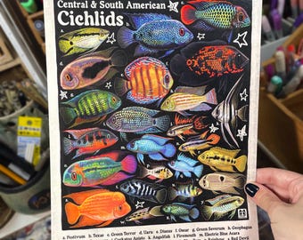 Cichlid Poster | Aquarium Fish Species Identification | 8.5x11 Wall Art Print