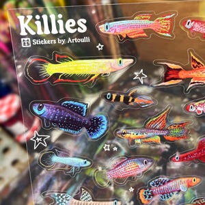 Killifish Sticker Sheet | Clear Transparent Aquarium Fish Stickers image 1