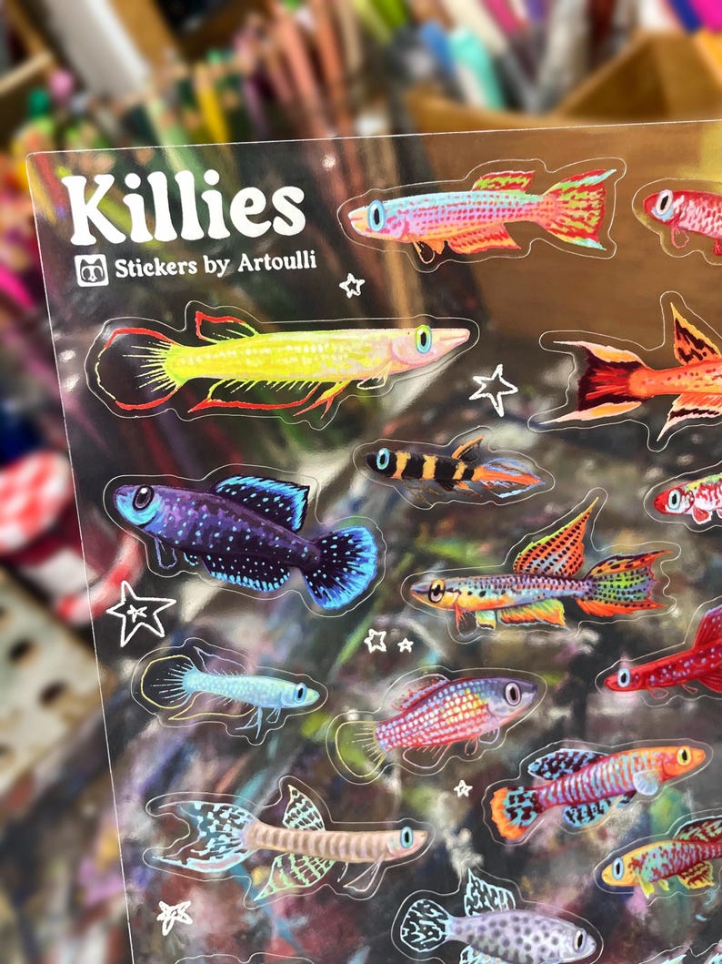 Killifish Sticker Sheet | Clear Transparent Aquarium Fish Stickers image 1