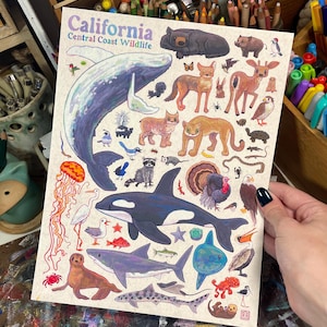 Poster con stampa artistica della fauna selvatica della costa centrale della California 8,5x11