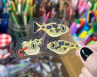 3 Clear Pea Puffer Stickers | Transparent Waterproof Pufferfish Sticker Set | Pea Puffer Fish Decals