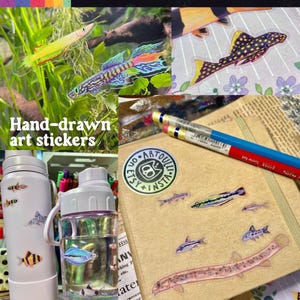 May include: A collection of clear stickers featuring hand-drawn illustrations of various fish species. The stickers are displayed on a white water bottle, a clear water bottle, and a tan notebook, accompanied by pencils and text reading Clear Stickers.