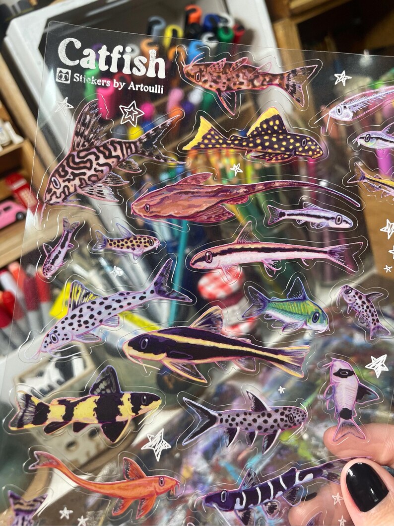 Catfish Sticker Sheet | Clear Transparent Aquarium Fish Stickers - Etsy