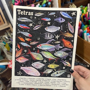 May include: A rectangular art print on a black background featuring a detailed illustration of various tetra fish species labeled with letters and symbols. The print includes the title Tetras at the top and a comprehensive legend at the bottom.