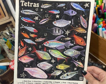 May include: A rectangular art print titled Tetras featuring a black background with numerous colourful fish illustrations labelled with letters and Roman numerals. The print includes a legend at the bottom listing species names like Black Neon and Cardinal.