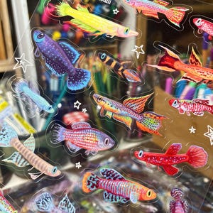 May include: A sheet of colorful fish stickers with the text "Killies Stickers by Artoulli". The stickers feature a variety of fish species in different colors and patterns, including red, orange, yellow, blue, green, and purple.