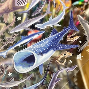 May include: A sheet of colorful shark stickers. The stickers feature various shark species in shades of blue, gray, and brown, including a large whale shark with white spots. Some stickers have star-shaped accents.