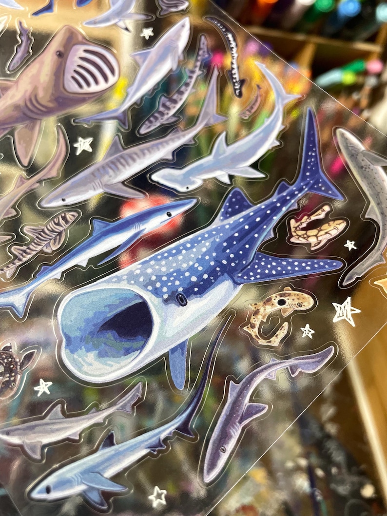May include: A sheet of colorful shark stickers. The stickers feature various shark species in shades of blue, gray, and brown, including a large whale shark with white spots. Some stickers have star-shaped accents.