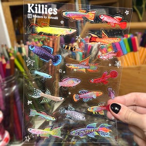Killifish Sticker Sheet | Clear Transparent Aquarium Fish Stickers image 2