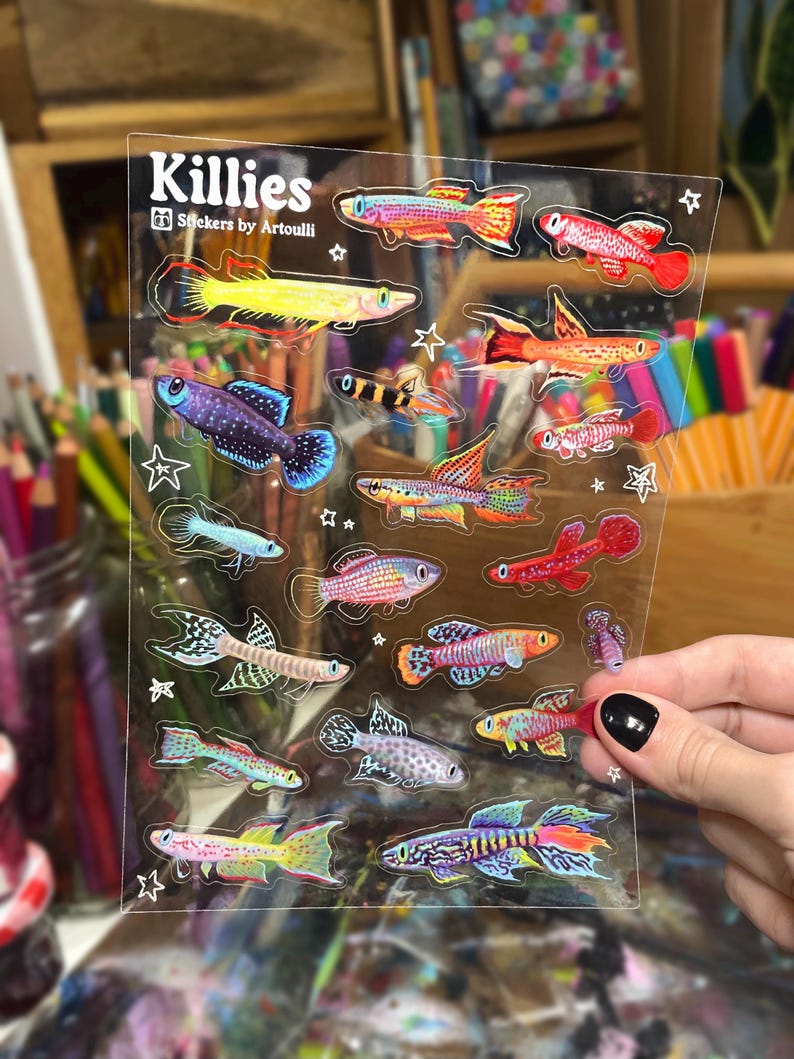 Killifish Sticker Sheet | Clear Transparent Aquarium Fish Stickers image 2