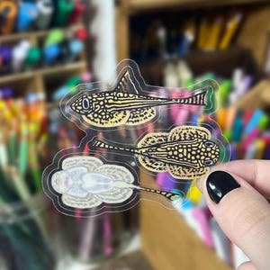 May include: Three clear stickers featuring detailed illustrations of fish. The fish have yellow and black patterns, with a variety of shapes and sizes. The stickers are held against a blurred background of art supplies.