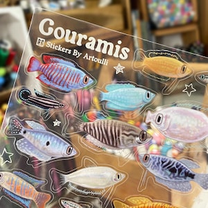 Könnte beinhalten: Transparente Stickerbogen mit Illustrationen verschiedener bunter Gourami-Fische. Der Bogen zeigt Fische in Blau-, Orange-, Gelb- und Weißtönen mit dem Text "Gouramis" und "Stickers By Artoulli".