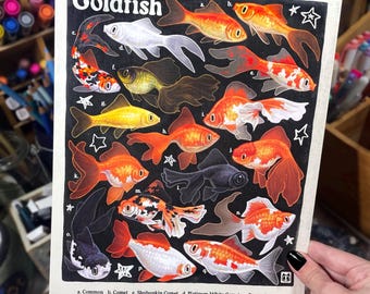 May include: A rectangular art print titled Goldfish featuring seventeen detailed illustrations of various goldfish breeds labelled a through q. The print displays fish in shades of orange, white, black, and calico against a black background with small white stars.