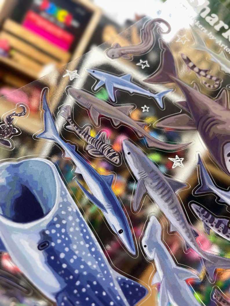 May include: A sheet of clear stickers featuring various shark illustrations in shades of blue, gray, and brown. The stickers include different shark species and star shapes. The text "Shark Stickers by Arton" is visible.